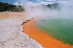 Tauranga Shore Excursion: Private Wai-O-Tapu Thermal Wonderland and Whakarewarewa Maori Cultural Village