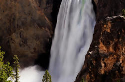 Excursión de un día al Parque Nacional de Yellowstone