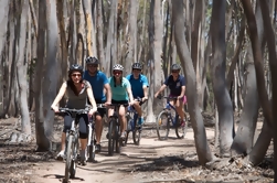 Usted Yangs Regional Park Mountain Bike Aventura de Melbourne