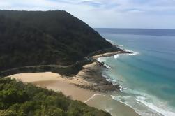 The Great Ocean Road Bike y Aventura de Bush desde Melbourne