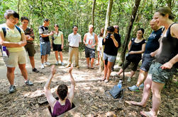 Tay Ninh Heilige Stoel en de Cu Chi Tunnels