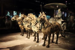 Tour de día de Xi'an: guerreros de terracota y templo taoísta de Sidecar