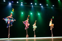 Acrobatische Show en Peking Duck Dinner with Private Hotel Transfer