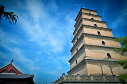 Excursión de un día a los guerreros de terracota privada de Xi'an desde Guangzhou por avión