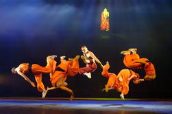 Shaolin Kung Fu Show en el Teatro Rojo de Beijing