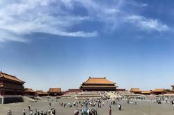 Beijing Day Tour da Cidade Proibida, Zoológico de Pequim e o Templo de Lama