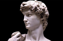 Michelangelo's David Tour