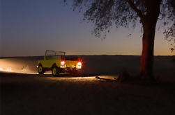 Private Night Safari