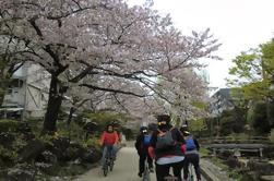 Tokyo by Bike: Skytree, Kiyosumi and Sumo