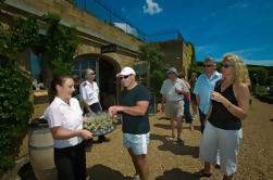 Tour de dégustation de vin de l'île Waiheke à partir d'Auckland