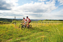 Private Tour: Vienna Woods e Kahlenberg Mountain Bike Ride