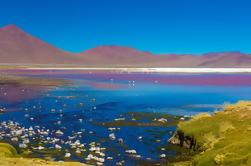 Excursão Lagoa Cejar de San Pedro de Atacama