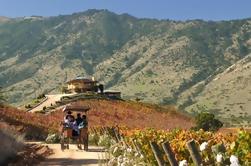 Colchagua Wine Valley Tour fra Santiago