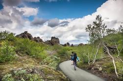 Lac Myvatn Tour classique d'Akureyri