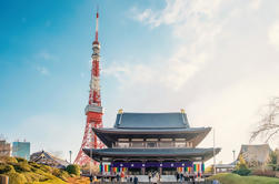 Tokyo Moderne und traditionelle Architektur Highlights von Minibus