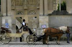 Private Tour: Versailles Paard en Vervoer Ride