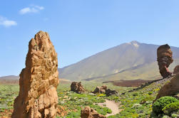 Excursión de la costa de Tenerife: Excursión de un día privado de Teide