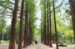 Excursión de un día con auto-guía a Nami Island y Chuncheon desde Seúl