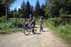 Tour de bicicleta de montaña con Hoheikyo Onse y almuerzo