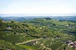 Amarone Wine Trail Tour de Vérone