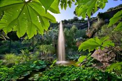 Coach Ronde van Ischia en La Mortella Botanic Gardens van Sorrento