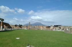 Excursión de medio día a Pompeya desde Sorrento