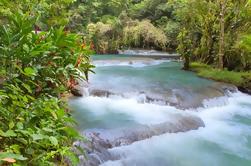 Montego Bay Ufer Ausflug: Dunn's River Falls