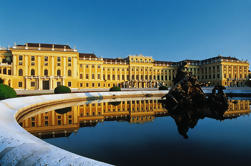 Arte privata City Tour di Vienna con saltare la linea Palazzo di Schonbrunn biglietteria