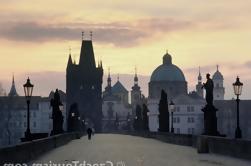 Privato Full Day Trip a Praga da Vienna