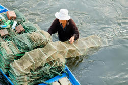 Excursión de día completo a la agricultura y la pesca desde la ciudad de Hoi An