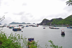 Bahía de Halong de 3 días y Tour de la Isla Cat Ba de Hanoi