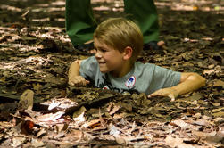 Full-Day Cu Chi Tunnels en Cao Dai Temple Tour van Ho Chi Minh-Stad