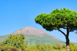 Excursão do Monte Vesúvio de Sorrento