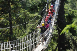 Excursión en Zipline de Douglas Island desde Juneau