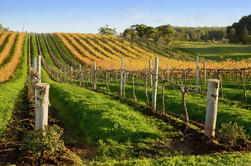 Victor Harbor med McLaren Vale vindistrikt Tour fra Adelaide