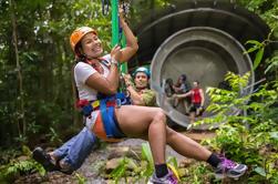 Cape Tribulation Jungle Surfing Canopy Tour