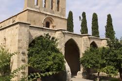 Excursión de un día al norte de Chipre desde Paphos y Limassol