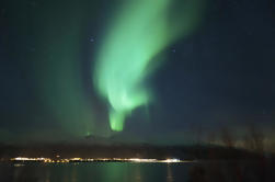 Private Tour: Northern Lights Experience from Tromso with Photography Tips