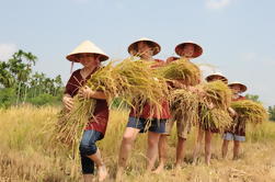 Excursión de día completo a la aldea de Hoi An y Tra Que