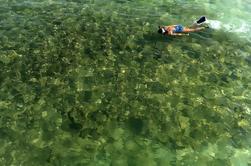 Kealakekua Bay Snorkeling Tour con possibilità di Honaunau Bay