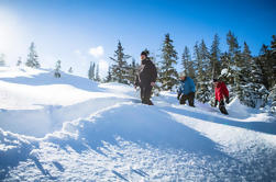 Whistler Snowshoeing Adventure com Pico 2 Peak opcional