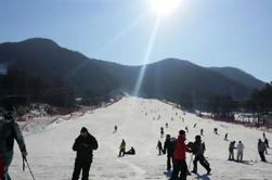 9 horas de Ski Tour para Jisan Ski Resort ou Yangji Resort de Seul