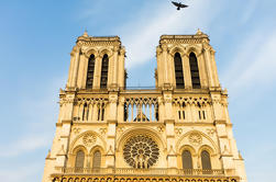 Tour de la Catedral de Notre Dame y Crucero por el Sena