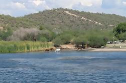 Desert Belle Live Music Cruise op Saguaro Lake