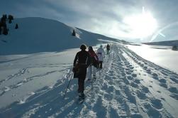 Excursión en raquetas de nieve desde Interlaken