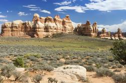 Canyonlands National Park Needles District in 4x4