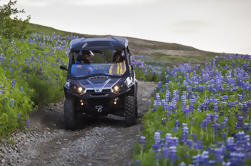 Eén uur Buggy Safari van Reykjavik