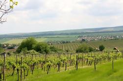 Private Wine and Sightseeing Tour com One-Way Budapeste - Bratislava Transfer