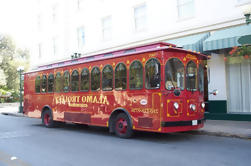 San Antonio Trolley Tour