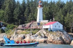 Vancouver City et Seals Scenic Boat Tour